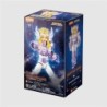 Blokees - Saint Seiya Champion Class
07 Cygnus Hyoga